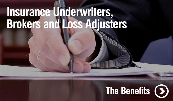 Insurance Underwriters, Brokers and Loss Adjusters